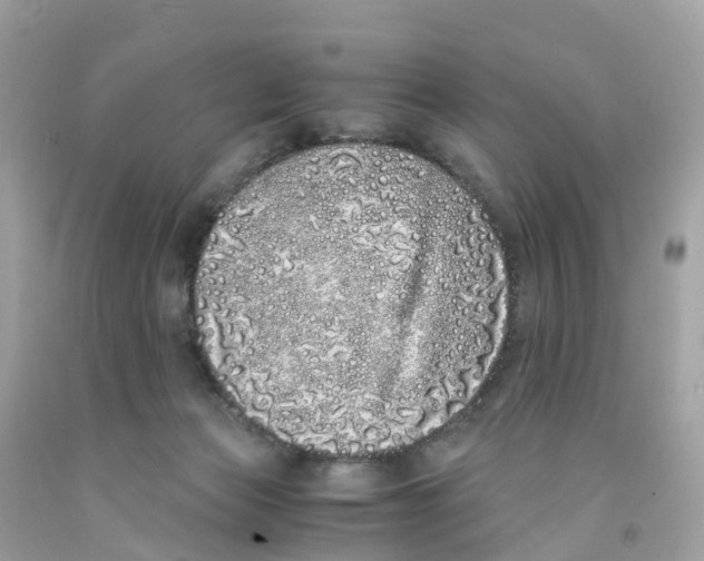 X0000091100173200709041331