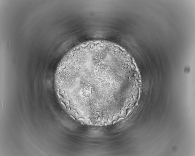 X0000091100175200709041331