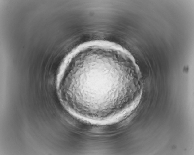 X0000091100178200709041331