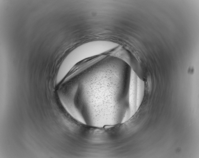 X0000091100180200709041331