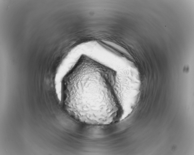 X0000091100182200709041331