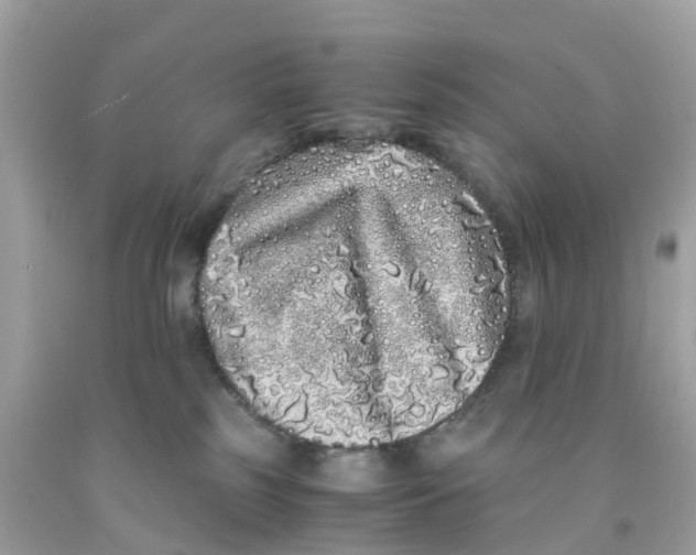 X0000091100185200709041331