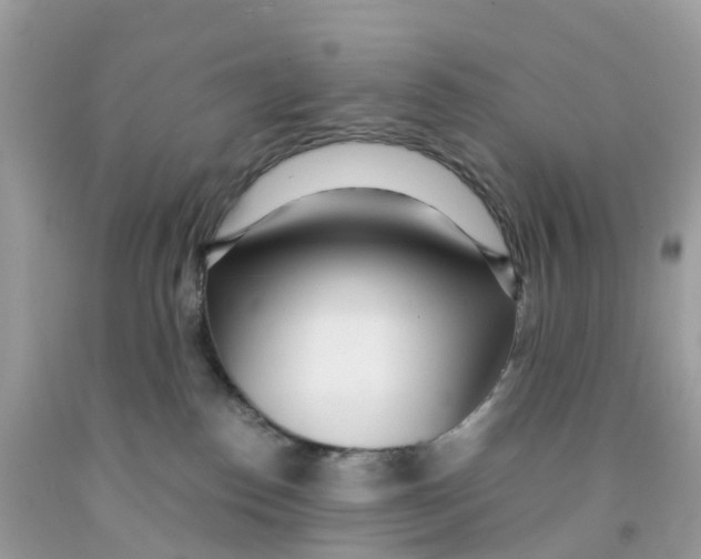 X0000091100186200709041331