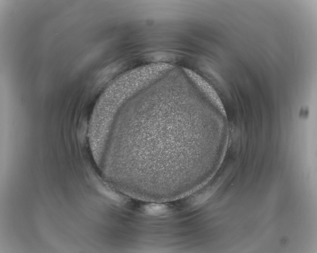 X0000091100189200709041331