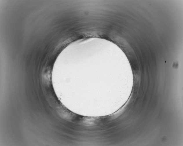 X0000091100190200709041331