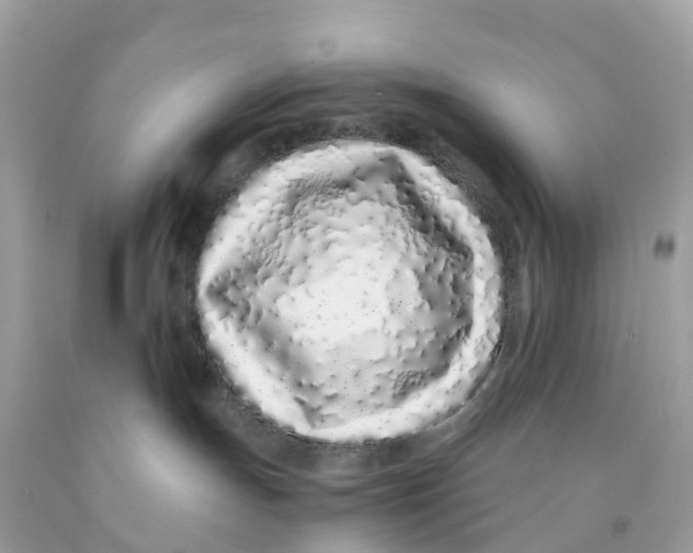 X0000091100191200709041331