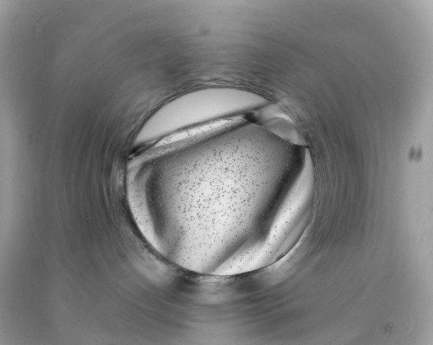 X0000091100192200709041331