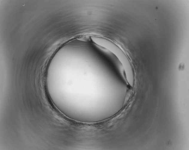 X0000091100193200709041330