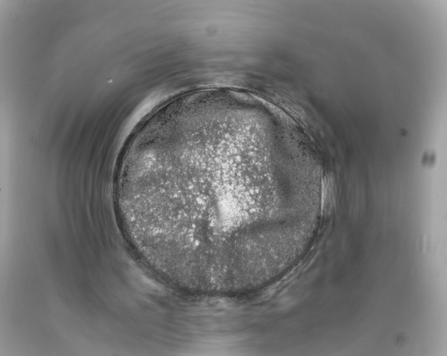 X0000091100195200709041330