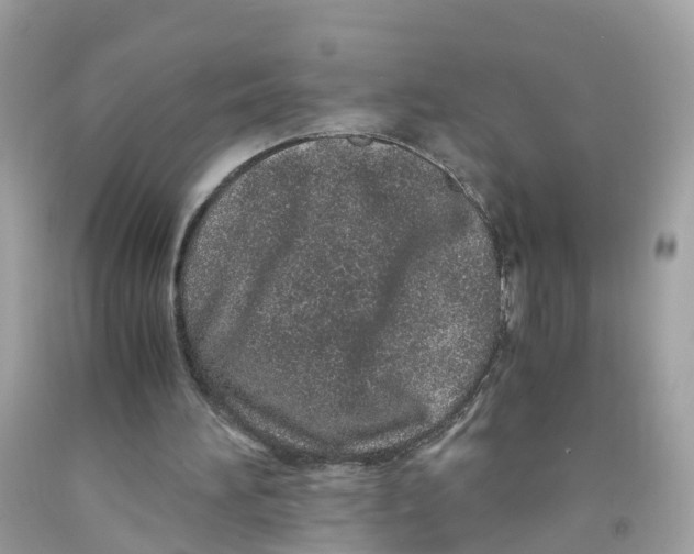 X0000091100196200709041330