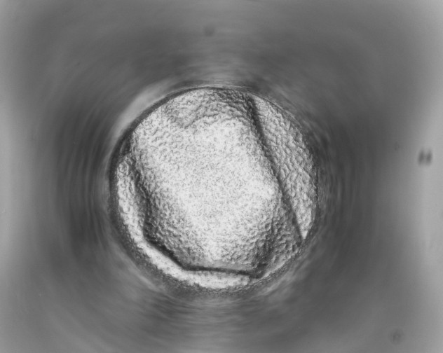 X0000091100198200709041330