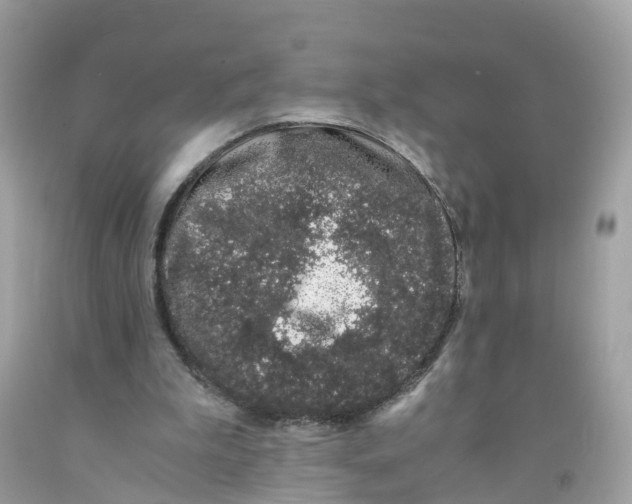 X0000091100199200709041330