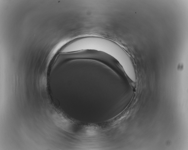 X0000091100200200709041330