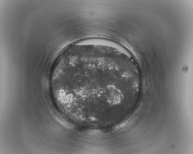 X0000091100203200709041330