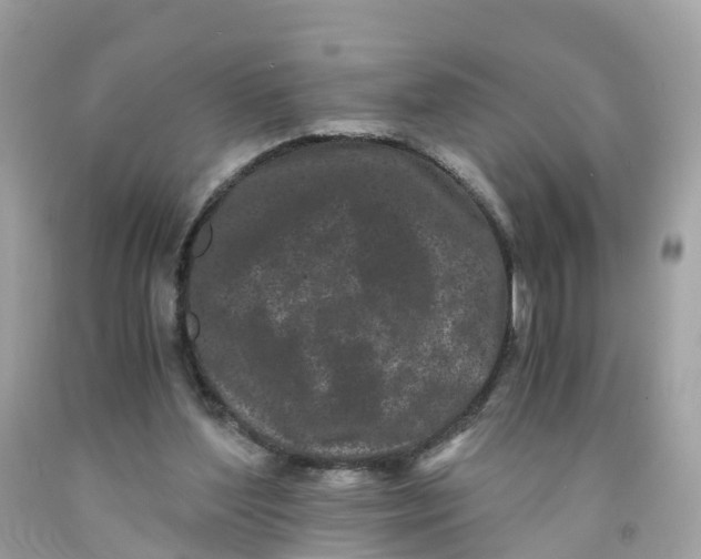 X0000091100204200709041330