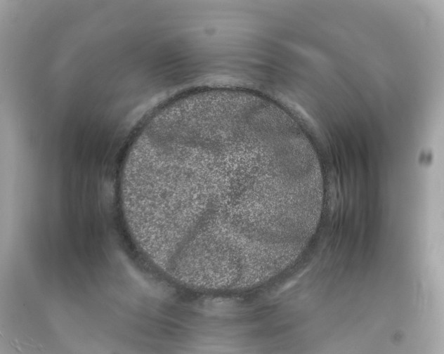 X0000091100208200709041330