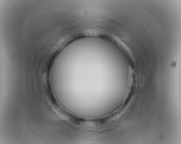 X0000091100209200709041330