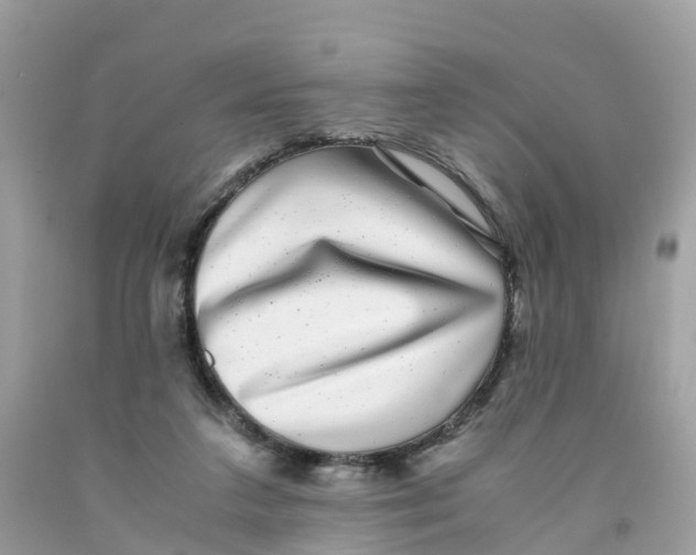 X0000091100211200709041330