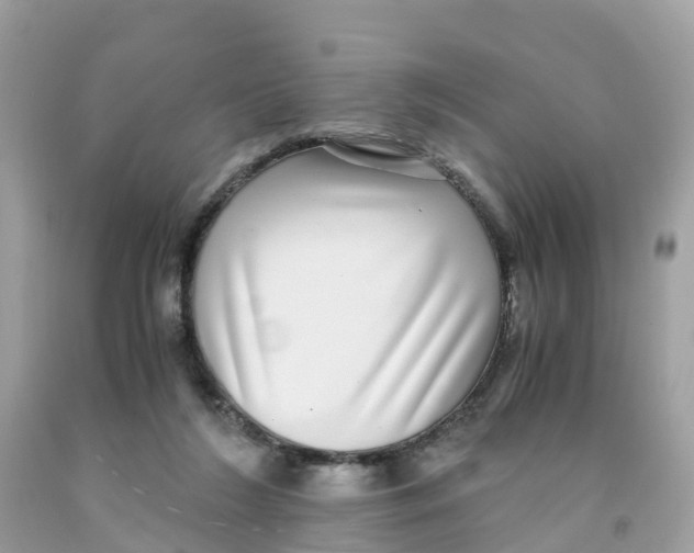 X0000091100212200709041330