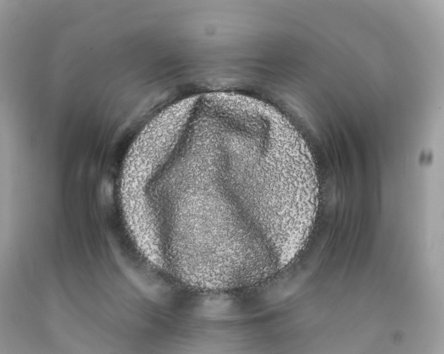 X0000091100214200709041330