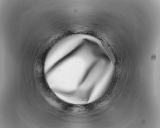 X0000091100215200709041330