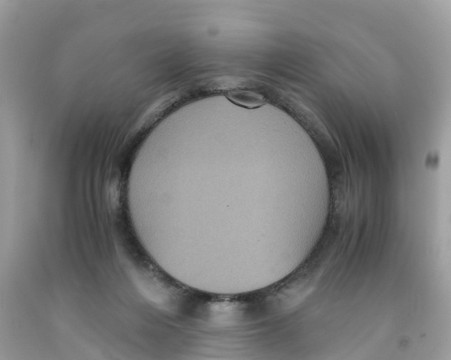 X0000091100216200709041330