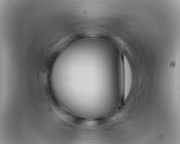 X0000091100217200709041330