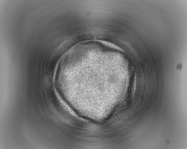 X0000091100218200709041330