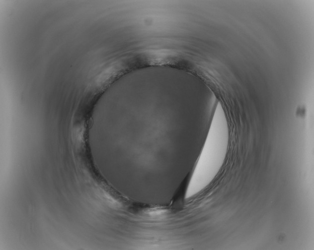 X0000091100219200709041330