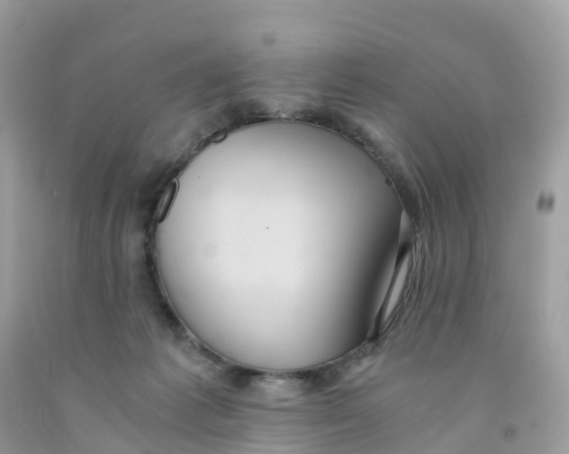 X0000091100221200709041330