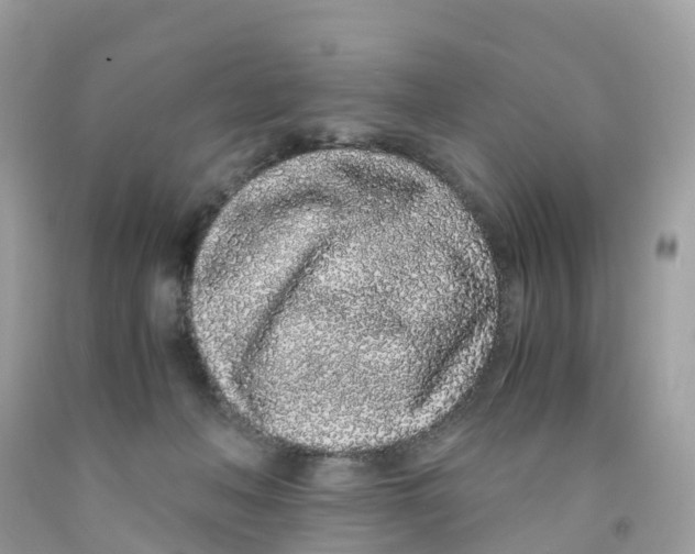 X0000091100222200709041330