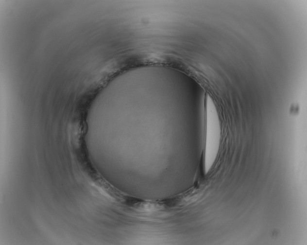 X0000091100223200709041330