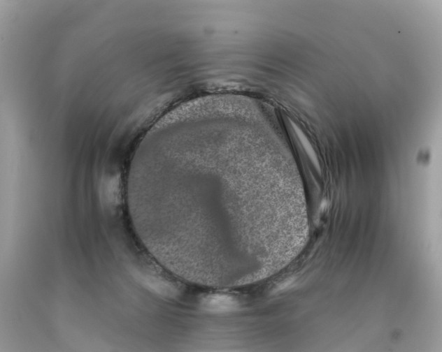 X0000091100224200709041330