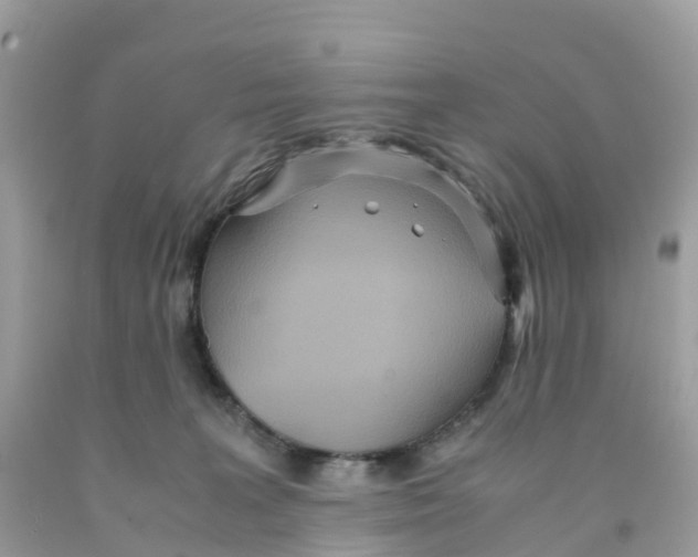 X0000091100227200709041330