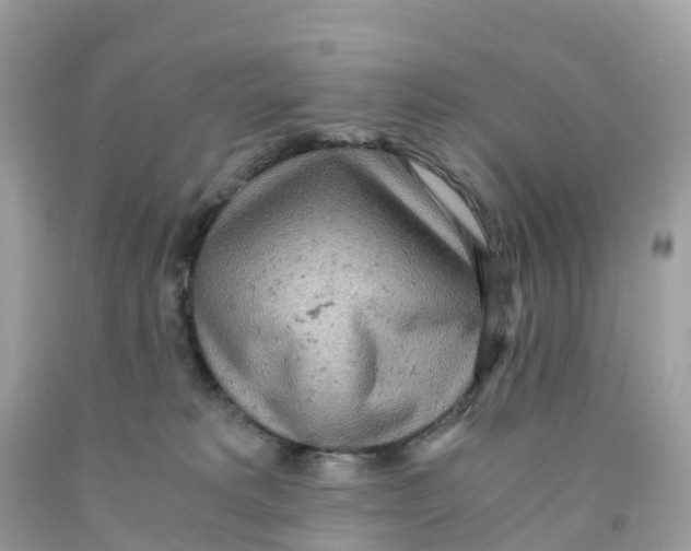 X0000091100229200709041330