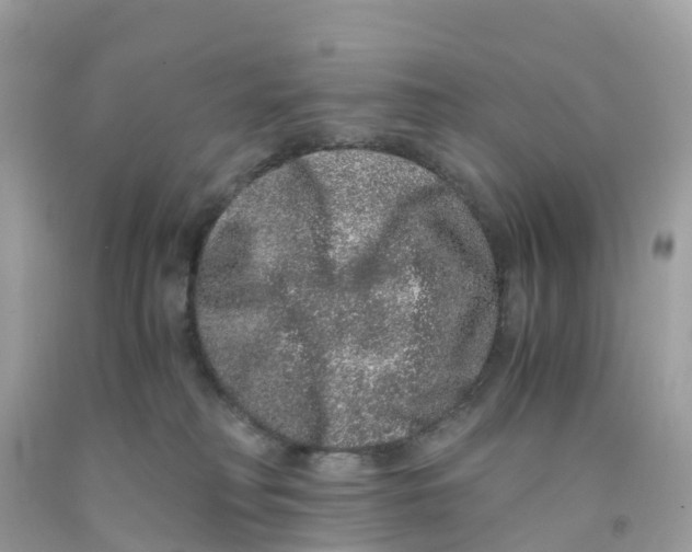 X0000091100230200709041330