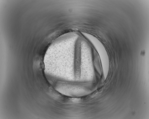 X0000091100233200709041330