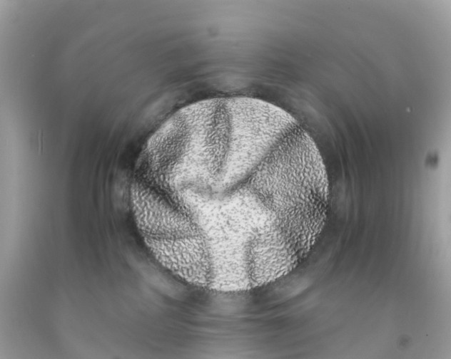 X0000091100234200709041330