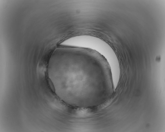 X0000091100235200709041330