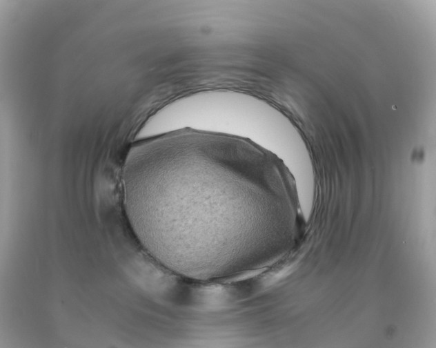 X0000091100237200709041330