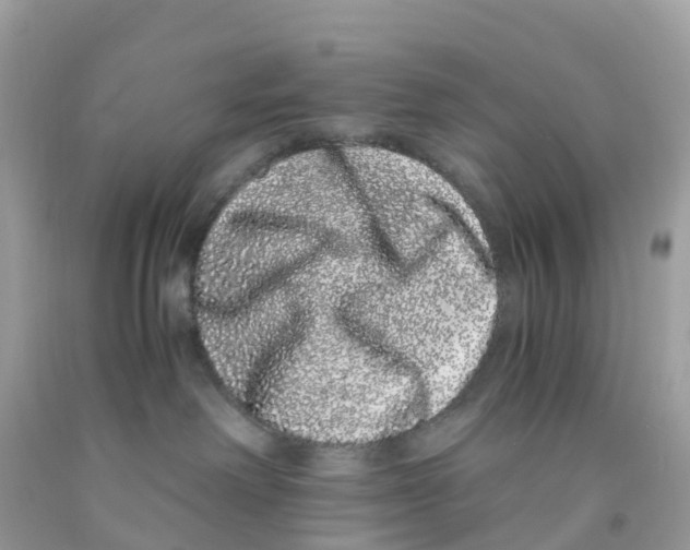 X0000091100238200709041330