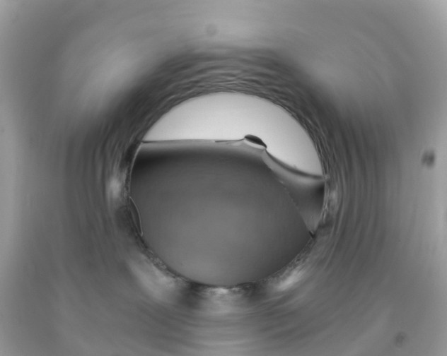 X0000091100239200709041330