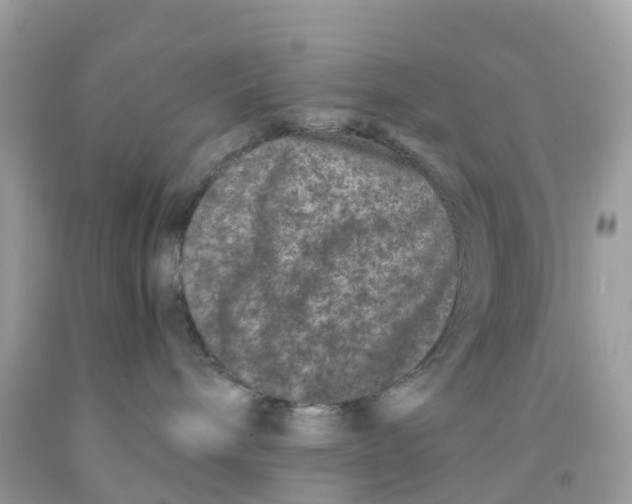 X0000091100240200709041330