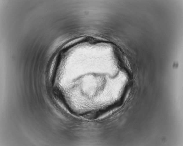 X0000091100242200709041329