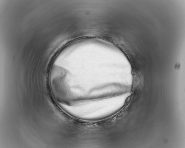 X0000091100243200709041329