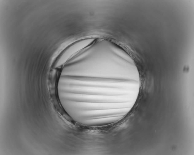 X0000091100244200709041329