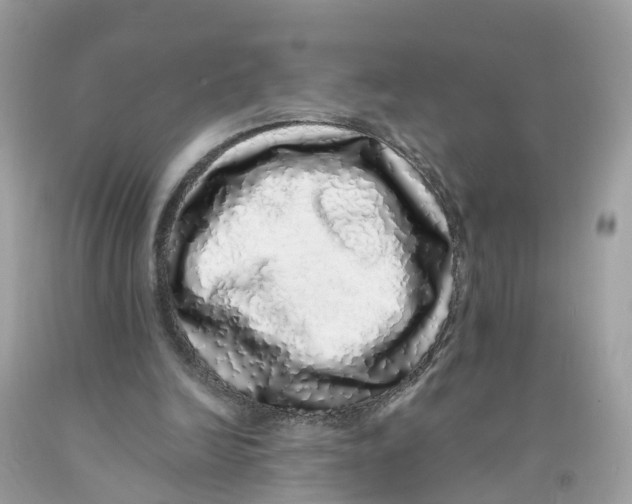 X0000091100246200709041329