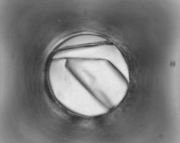 X0000091100247200709041329