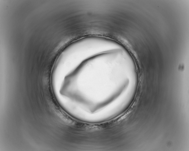 X0000091100249200709041329