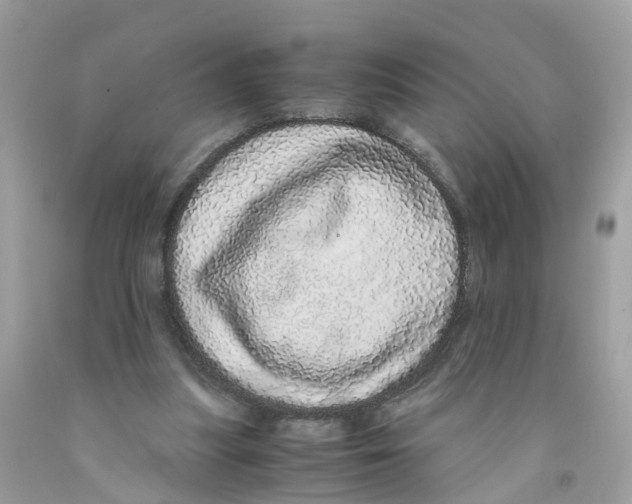 X0000091100251200709041329